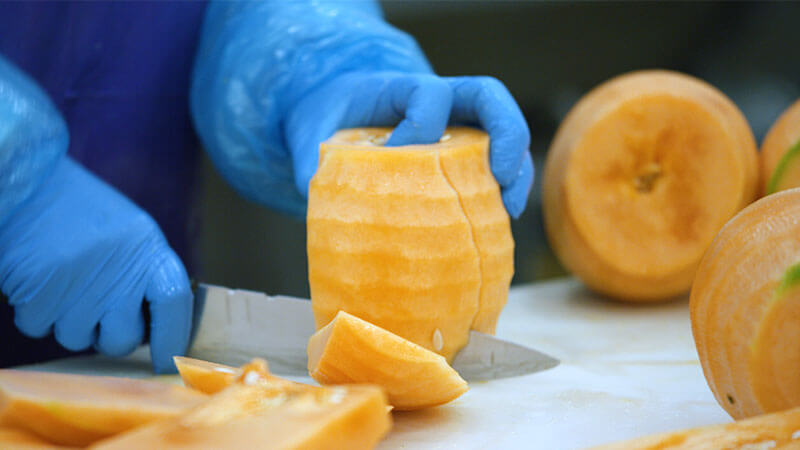 sliced melon